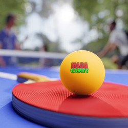 OFFICIAL Ping Pong Balls (Set of 6)